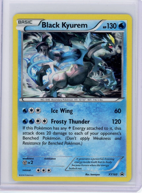 Black Kyurem 2016 Pokémon Black Star Promo holo XY160