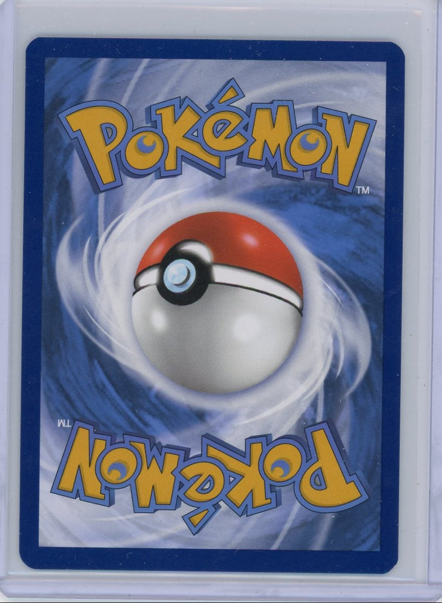 Eevee Pokémon Black Star Promo #173